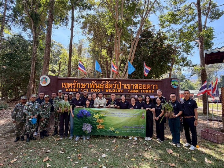กรมวิทยาศาสตร์ทหารเรือ โดย พลเรือตรี วชิรวิชญ์  ขาวคม เจ้ากรมวิทยาศาสตร์ทหารเรือ และคณะทำงานโครงการอนุรักษ์พันธุกรรมพืช อันเนื่องมาจากพระราชดำริฯร่วมกับ เขตรักษาพันธุ์สัตว์ป่าเขาสอยดาว นำพันธุ์กล้วยไม้ที่ได้จากการเพาะเลี้ยงเนื้อเยื่อไปปลูกคืนสู่สภาพแวดล้อม ตามธรรมชาติ จำนวน ๓ ชนิด ได้แก่ เอื้องกะเรกะร่อนปากเป็ด เอื้องเหลืองจันทบูร และเอื้องเขาแกะบูล โดยมีวัตถุประสงค์ เพื่อส่งเสริมและสร้างจิตสำนึกด้านการอนุรักษ์ทรัพยากรธรรมชาติ  โดยมี นายคนุพงษ์ งามเนตรหัวหน้าเขตรักษาพันธุ์สัตว์ป่าเขาสอยดาว ให้การต้อนรับ ณ เขตรักษาพันธุ์สัตว์ป่าเขาสอยดาว กรมอุทยานแห่งชาติ สัตว์ป่า และพันธุ์พืช อ.สอยดาว จว.จันทบุรี ในวันพฤหัสบดีที่ ๑๙ กุมภาพันธ์ ๒๕๖๙