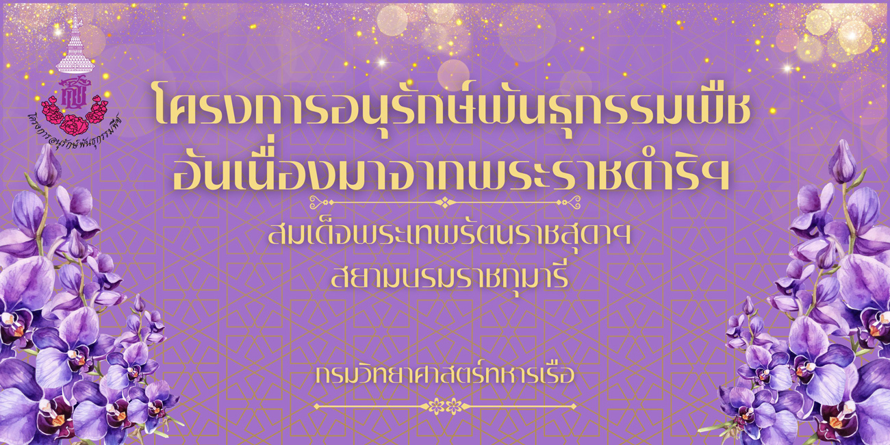 Big_Banner-68392ef32a5cc.jpg