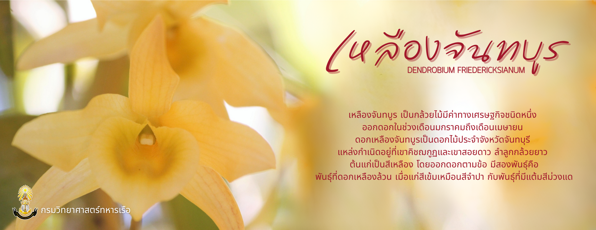 Big_Banner-68b934d3e6dd0.png