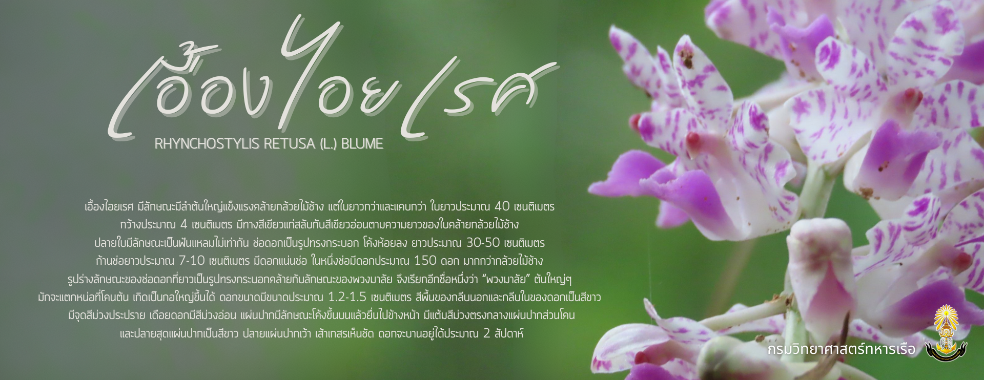 Big_Banner-68b9354a4bc5f.png