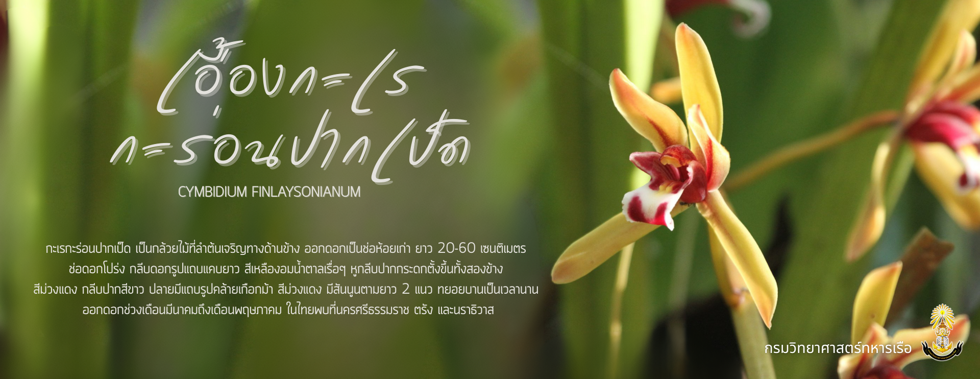 Big_Banner-68b9357e73921.png